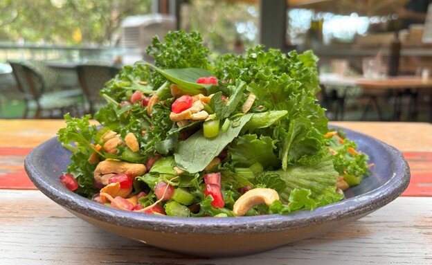 סלט רימונים וקשיו בתיבול אסייתי של קפה גן סיפור סלט רימונים וקשיו בתיבול אסייתי של קפה גן סיפור