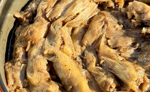 כרישה ממולאת (צילום: יעל קצב, mako אוכל)