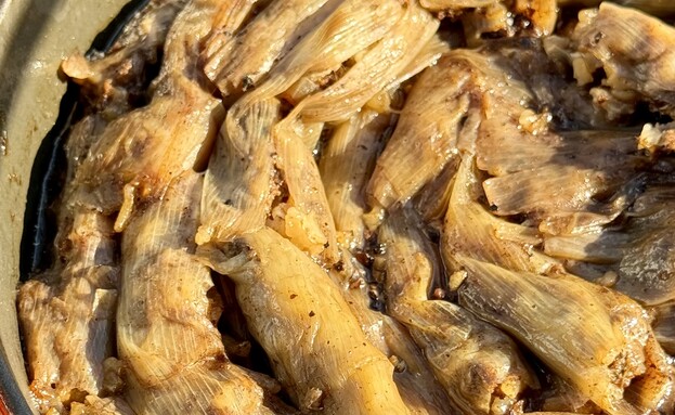 כרישה ממולאת (צילום: יעל קצב, mako אוכל)