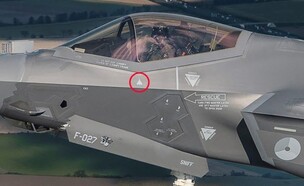 המטוס המסומן (צילום: Dutch MOD)