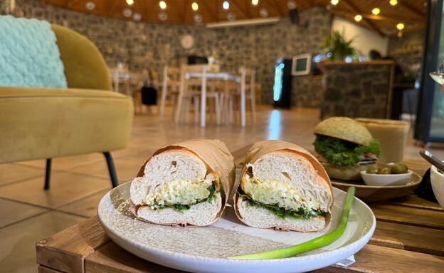 כל כריך הצגה. סלון בזלת כל כריך הצגה. סלון בזלת