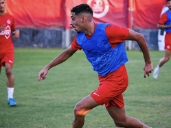 (האתר הרשמי של הפועל תל אביב) (צילום: ספורט 5)