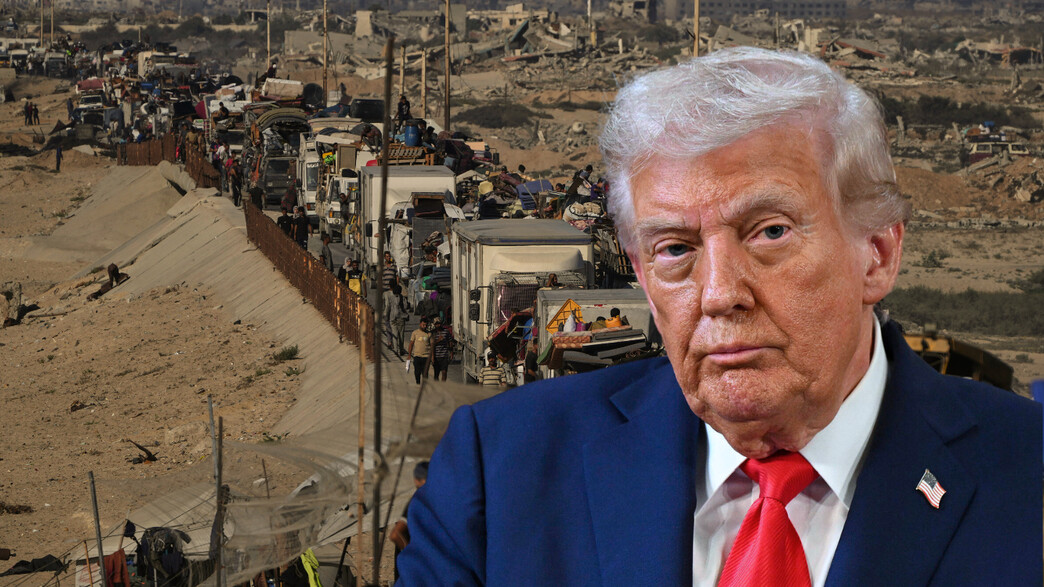 טראמפ עזה