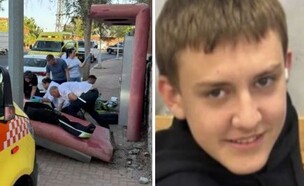 נתנאל פטרקובסקי ותיבת הדואר שקרסה