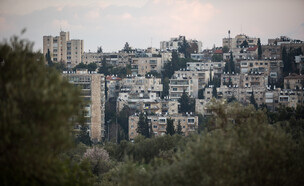 רחביה (צילום: הדס פרטוש/פלאש 90)