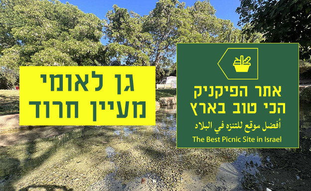 פיקניק - מעיין חרוד הכי טובים פיקניק - מעיין חרוד הכי טובים