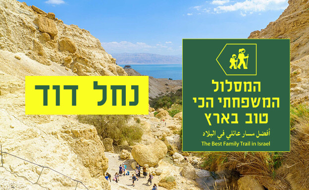 מסלול משפחתי - נחל דוד הכי טובים מסלול משפחתי - נחל דוד הכי טובים