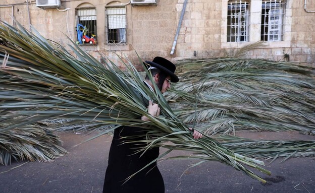 חג הסוכות חג הסוכות