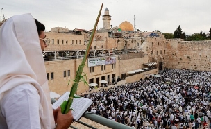 מתפללים בכותל בחג הסוכות (צילום: AP, רויטרס)
