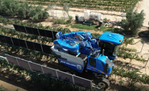 SolarWine (צילום: יחסי ציבור)
