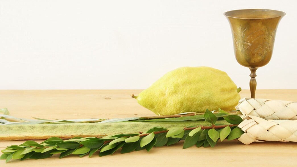 ערב חג סוכות 2025 ערב חג סוכות 2025