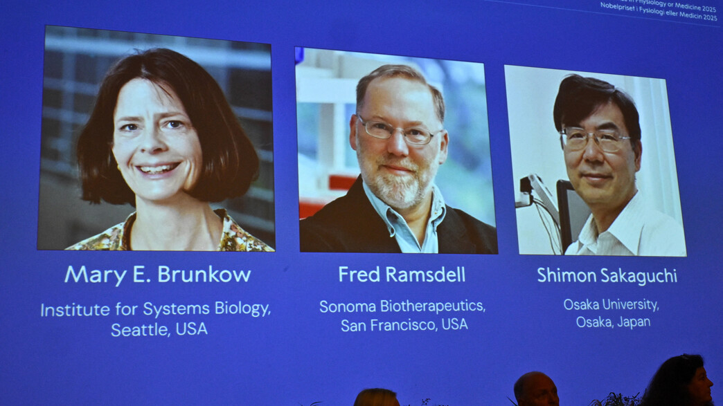 הזוכים בפרס נובל ברפואה לשנת 2025
