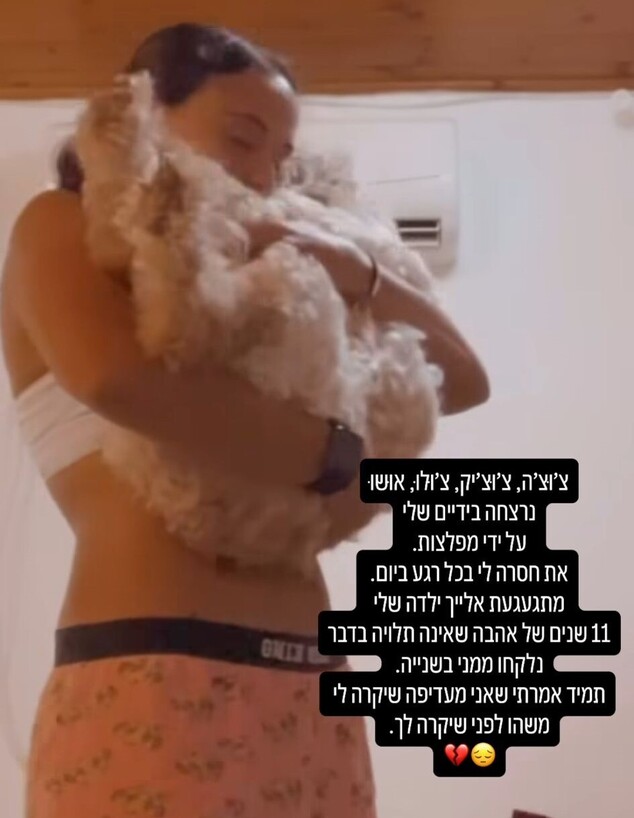 הסטורי של אמילי דמארי על פרידתה מכלבתה הסטורי של אמילי דמארי על פרידתה מכלבתה