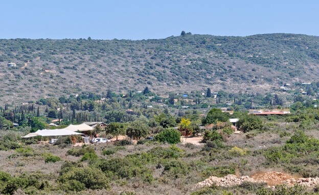 כליל (צילום: אורלי גנוסר)