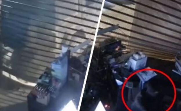 כנופיית הרוביקון מכה שוב