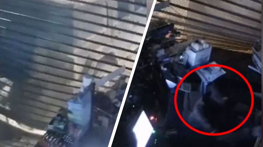 כנופיית הרוביקון מכה שוב