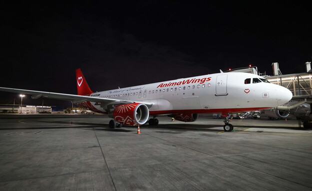 מטוס AnimaWings מטוס AnimaWings