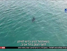 20karish_vtr2_n20251012_v1 (צילום: חדשות)