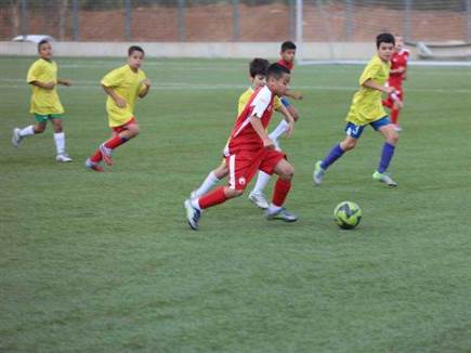 (ההתאחדות לכדורגל) (צילום: ספורט 5)