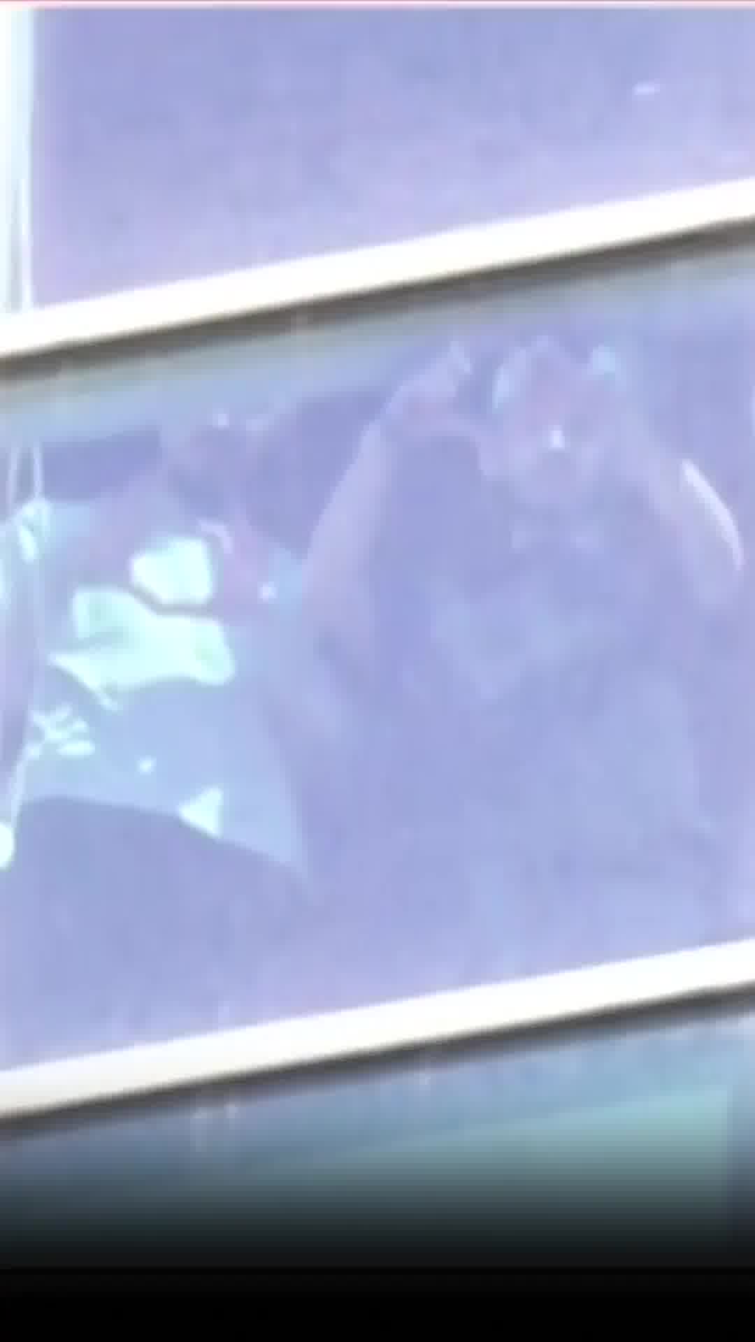 רום ובר סימנו לב עם הידיים: החגיגות בשיבא לחזרתם של החטופים
