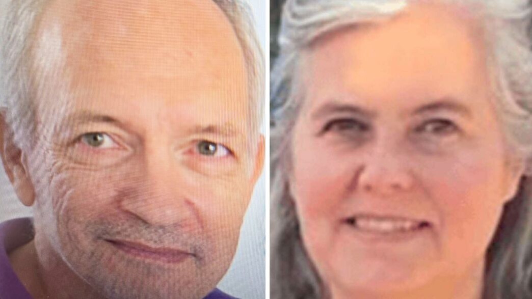 דוד גולדפלד ווליסקה פאו דוד גולדפלד ווליסקה פאו