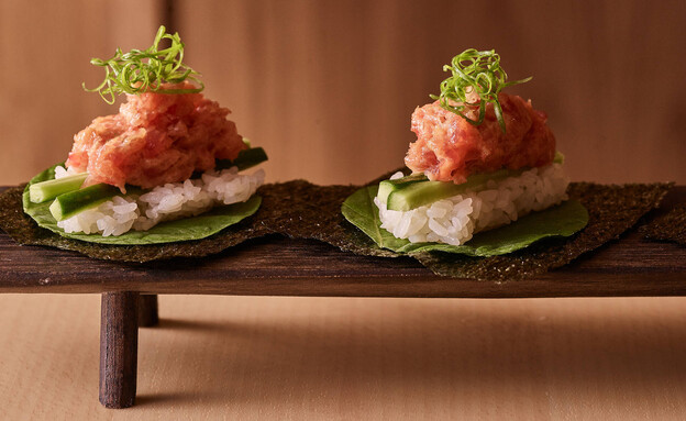 מטבח יפני במחירים נגישים. ASA מטבח יפני במחירים נגישים. ASA