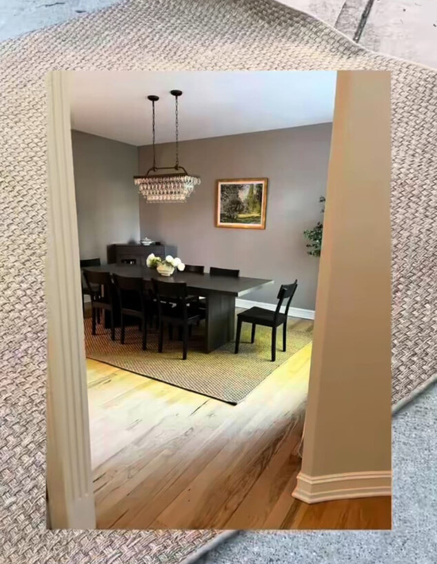 זבל של עשירים שטיח שהניחה בבית זבל של עשירים שטיח שהניחה בבית