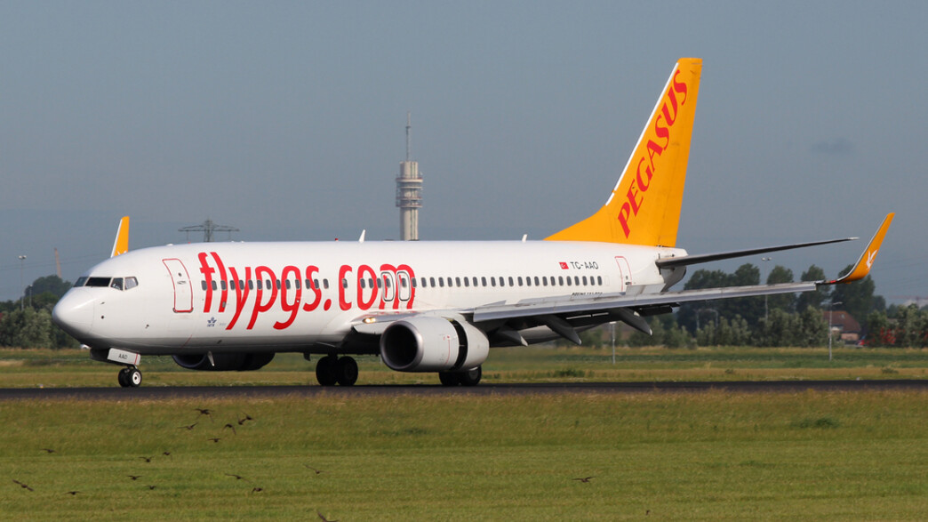 פגסוס פגסוס