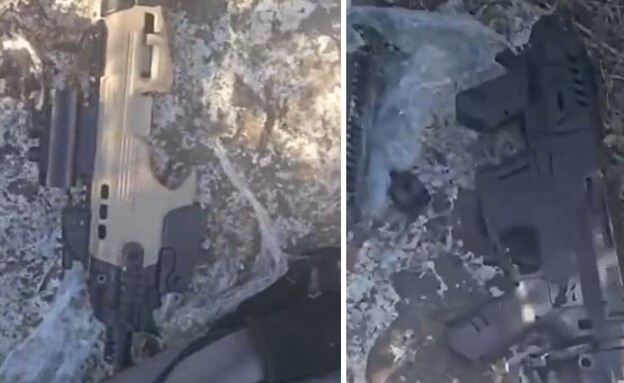 ה"מיקרו-רוני"