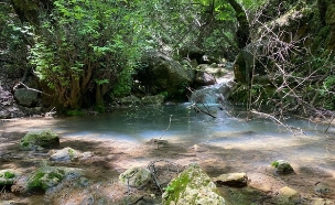 נחל עמוד עליון (צילום: מירב טלמור-קשי)