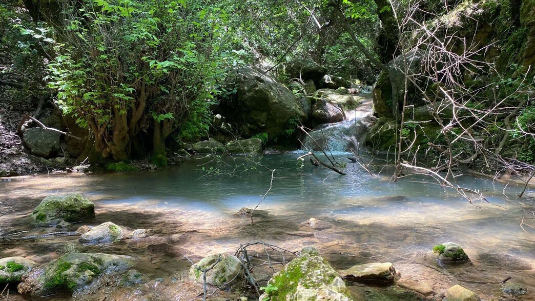נחל עמוד עליון נחל עמוד עליון
