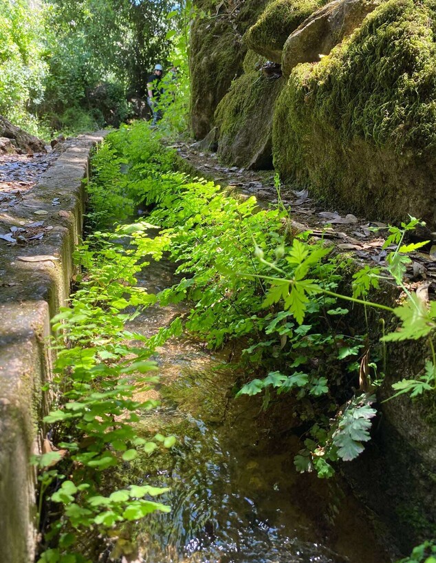 אמת מים מסלול נחל עמוד אמת מים מסלול נחל עמוד