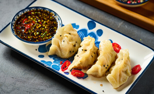 גיוזה עוף של ניצן אהרן (צילום: נמרוד סונדרס)