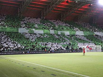 (מאור אלקסלסי)