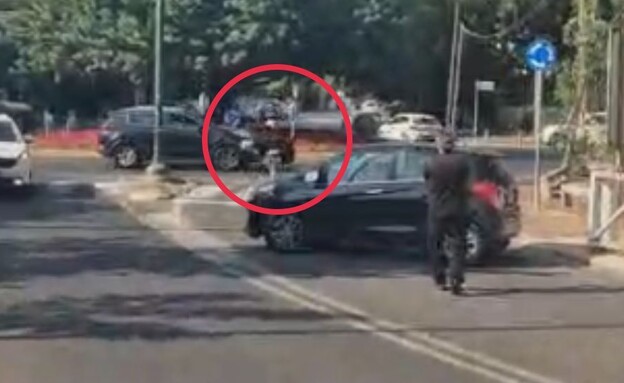 היען שברח מהספארי (צילום: דוברות המשטרה)