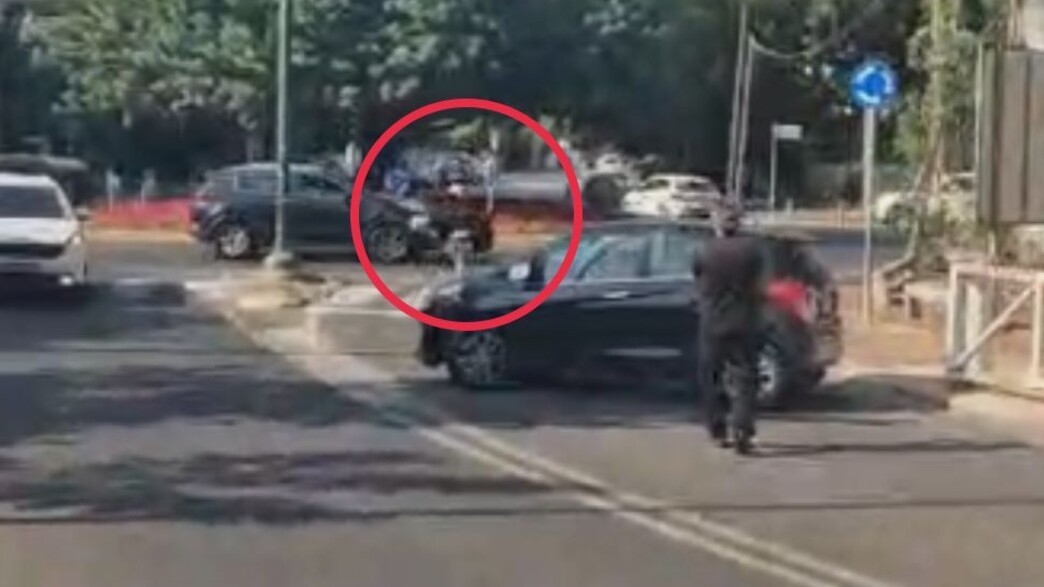 היען שברח מהספארי