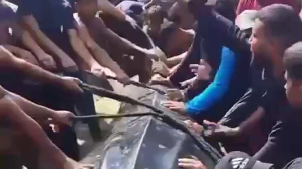 עזתים צדו כריש 