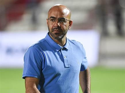 (ברני ארדוב)