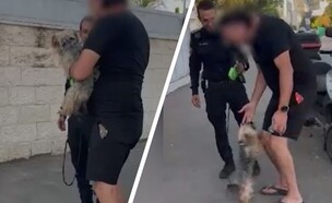 הכלב שהוחזר לבעליו (צילום: דוברות המשטרה)