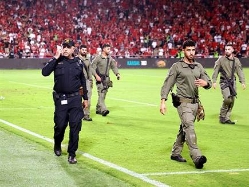 "גם למועדונים יש אחריות" (אלן שיבר) (צילום: ספורט 5)