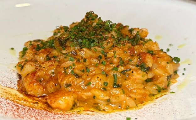 אורזו עם שרימפס בציר סרטנים. צ'וטה החדשה אורזו עם שרימפס בציר סרטנים. צ'וטה החדשה