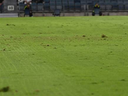 מלא בגבשושיות (ברני ארדוב) (צילום: ספורט 5)