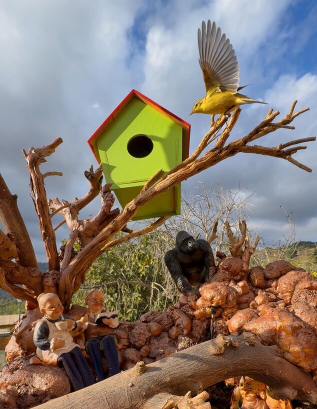 בית העץ שבנה איתן אסרף בית העץ שבנה איתן אסרף