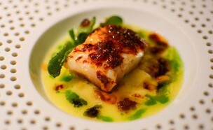 ארוחת טעימות בת 6 מנות ב-130 יורו לסועד. פרזיבל (צילום: נהורי סבן, סיורי אוכל בפראג, יחסי ציבור)