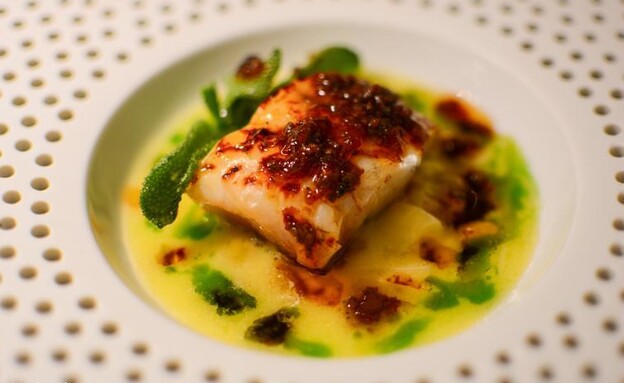 ארוחת טעימות בת 6 מנות ב-130 יורו לסועד. פרזיבל (צילום: נהורי סבן, סיורי אוכל בפראג, יחסי ציבור)