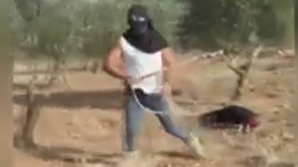 מתנחלים תוקפים פלסטינים בתורמוס עיא