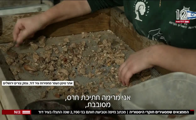 כתב נזיפה וחותם בני 2,700 שנה התגלו בעיר דוד