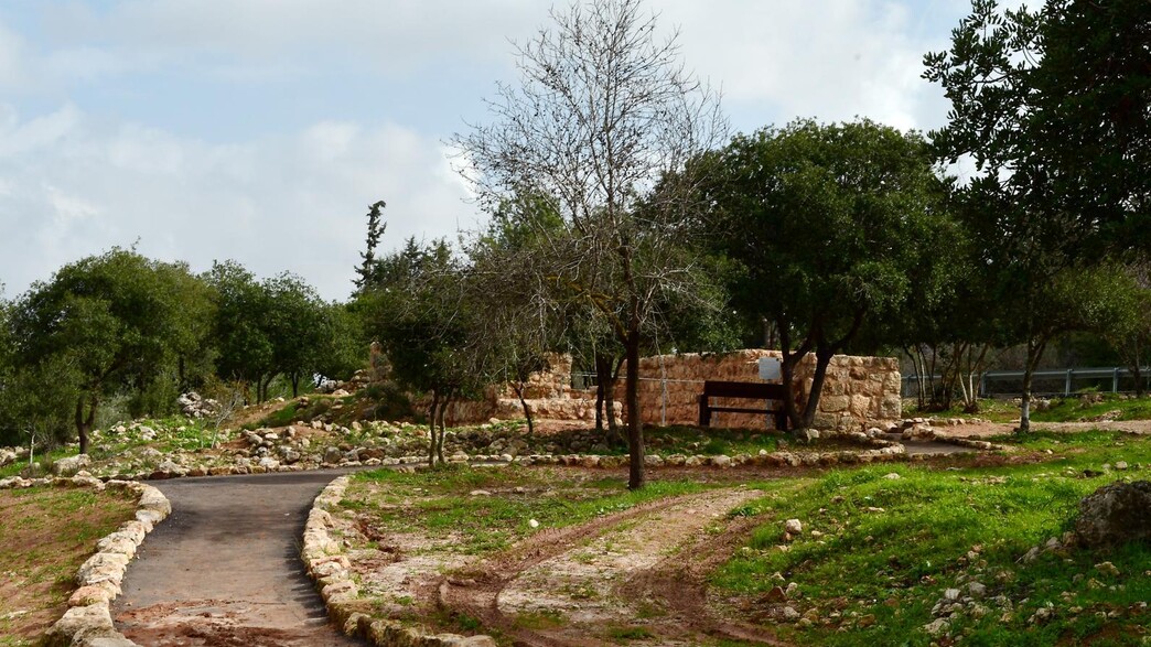 חוזרים למגמת התחממות, בסופ