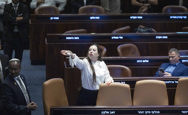 טלי גוטליב (צילום: חיים גולדברג, פלאש 90)