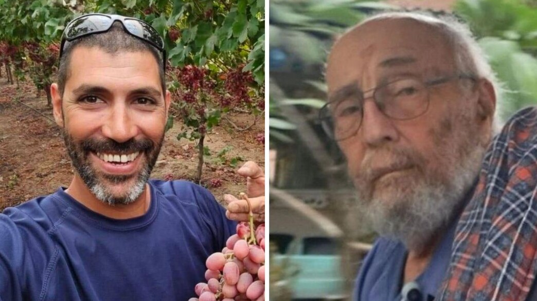 אריה זלמנוביץ, תמיר אדר